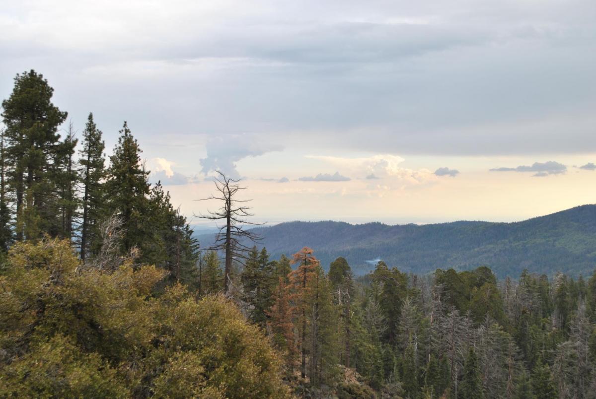 The view from Wawona Point